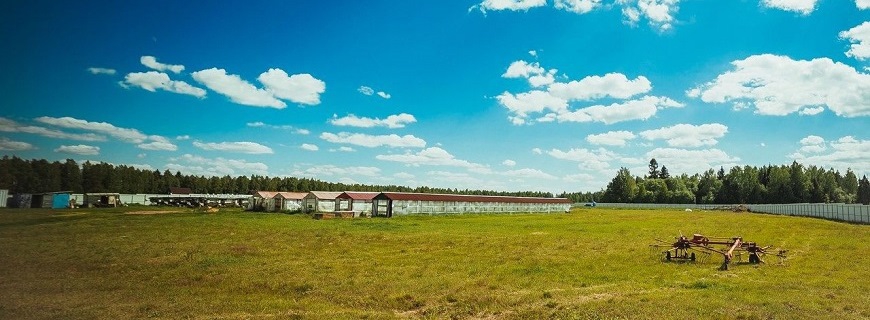 Стандарты 