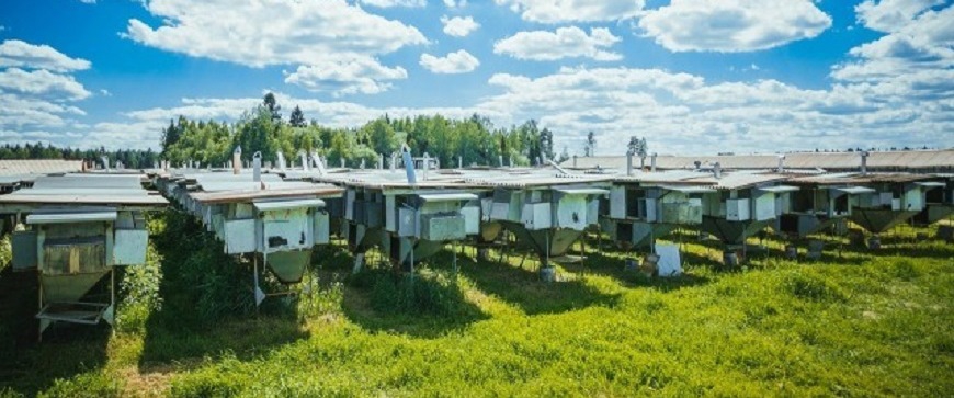 Кроликоферма
